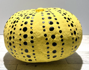 Find the Artist in Y